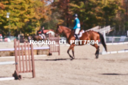 Equestrian photos by Pete's Photography of the 2024 Rockton World's Fair Equestrian Hunter Jumper series held in Rockton, Ontario, Canada.