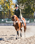 Equestrian photos by Pete's Photography of the 2024 Rockton World's Fair Equestrian Hunter Jumper series held in Rockton, Ontario, Canada.