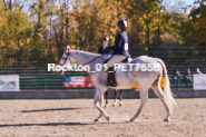 Equestrian photos by Pete's Photography of the 2024 Rockton World's Fair Equestrian Hunter Jumper series held in Rockton, Ontario, Canada.