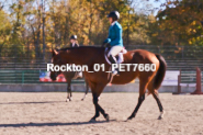 Equestrian photos by Pete's Photography of the 2024 Rockton World's Fair Equestrian Hunter Jumper series held in Rockton, Ontario, Canada.