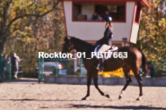 Equestrian photos by Pete's Photography of the 2024 Rockton World's Fair Equestrian Hunter Jumper series held in Rockton, Ontario, Canada.