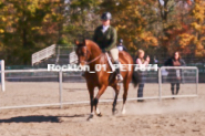 Equestrian photos by Pete's Photography of the 2024 Rockton World's Fair Equestrian Hunter Jumper series held in Rockton, Ontario, Canada.