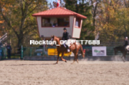 Equestrian photos by Pete's Photography of the 2024 Rockton World's Fair Equestrian Hunter Jumper series held in Rockton, Ontario, Canada.