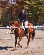 Equestrian photos by Pete's Photography of the 2024 Rockton World's Fair Equestrian Hunter Jumper series held in Rockton, Ontario, Canada.