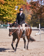 Equestrian photos by Pete's Photography of the 2024 Rockton World's Fair Equestrian Hunter Jumper series held in Rockton, Ontario, Canada.