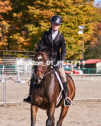 Equestrian photos by Pete's Photography of the 2024 Rockton World's Fair Equestrian Hunter Jumper series held in Rockton, Ontario, Canada.