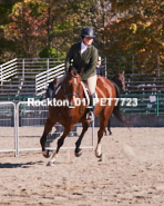 Equestrian photos by Pete's Photography of the 2024 Rockton World's Fair Equestrian Hunter Jumper series held in Rockton, Ontario, Canada.