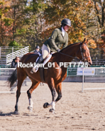 Equestrian photos by Pete's Photography of the 2024 Rockton World's Fair Equestrian Hunter Jumper series held in Rockton, Ontario, Canada.