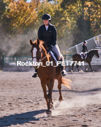 Equestrian photos by Pete's Photography of the 2024 Rockton World's Fair Equestrian Hunter Jumper series held in Rockton, Ontario, Canada.