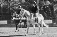 Equestrian photos by Pete's Photography of the 2024 Rockton World's Fair Equestrian Hunter Jumper series held in Rockton, Ontario, Canada.