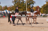 Equestrian photos by Pete's Photography of the 2024 Rockton World's Fair Equestrian Hunter Jumper series held in Rockton, Ontario, Canada.