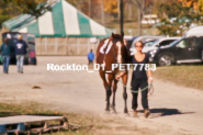 Equestrian photos by Pete's Photography of the 2024 Rockton World's Fair Equestrian Hunter Jumper series held in Rockton, Ontario, Canada.