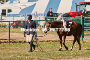 Equestrian photos by Pete's Photography of the 2024 Rockton World's Fair Equestrian Hunter Jumper series held in Rockton, Ontario, Canada.