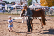 Equestrian photos by Pete's Photography of the 2024 Rockton World's Fair Equestrian Hunter Jumper series held in Rockton, Ontario, Canada.