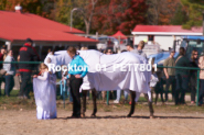 Equestrian photos by Pete's Photography of the 2024 Rockton World's Fair Equestrian Hunter Jumper series held in Rockton, Ontario, Canada.