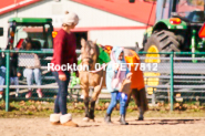 Equestrian photos by Pete's Photography of the 2024 Rockton World's Fair Equestrian Hunter Jumper series held in Rockton, Ontario, Canada.