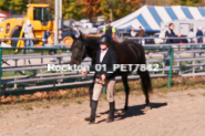 Equestrian photos by Pete's Photography of the 2024 Rockton World's Fair Equestrian Hunter Jumper series held in Rockton, Ontario, Canada.