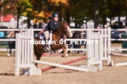 Equestrian photos by Pete's Photography of the 2024 Rockton World's Fair Equestrian Hunter Jumper series held in Rockton, Ontario, Canada.