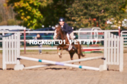 Equestrian photos by Pete's Photography of the 2024 Rockton World's Fair Equestrian Hunter Jumper series held in Rockton, Ontario, Canada.