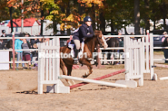 Equestrian photos by Pete's Photography of the 2024 Rockton World's Fair Equestrian Hunter Jumper series held in Rockton, Ontario, Canada.