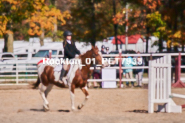 Equestrian photos by Pete's Photography of the 2024 Rockton World's Fair Equestrian Hunter Jumper series held in Rockton, Ontario, Canada.