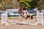 Equestrian photos by Pete's Photography of the 2024 Rockton World's Fair Equestrian Hunter Jumper series held in Rockton, Ontario, Canada.