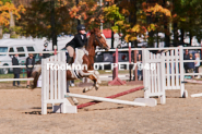 Equestrian photos by Pete's Photography of the 2024 Rockton World's Fair Equestrian Hunter Jumper series held in Rockton, Ontario, Canada.