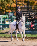 Equestrian photos by Pete's Photography of the 2024 Rockton World's Fair Equestrian Hunter Jumper series held in Rockton, Ontario, Canada.