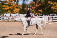 Equestrian photos by Pete's Photography of the 2024 Rockton World's Fair Equestrian Hunter Jumper series held in Rockton, Ontario, Canada.