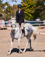 Equestrian photos by Pete's Photography of the 2024 Rockton World's Fair Equestrian Hunter Jumper series held in Rockton, Ontario, Canada.