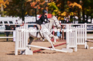 Equestrian photos by Pete's Photography of the 2024 Rockton World's Fair Equestrian Hunter Jumper series held in Rockton, Ontario, Canada.