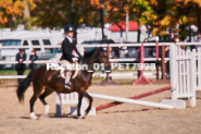 Equestrian photos by Pete's Photography of the 2024 Rockton World's Fair Equestrian Hunter Jumper series held in Rockton, Ontario, Canada.