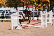 Equestrian photos by Pete's Photography of the 2024 Rockton World's Fair Equestrian Hunter Jumper series held in Rockton, Ontario, Canada.