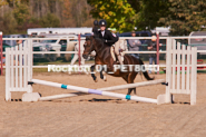 Equestrian photos by Pete's Photography of the 2024 Rockton World's Fair Equestrian Hunter Jumper series held in Rockton, Ontario, Canada.