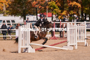 Equestrian photos by Pete's Photography of the 2024 Rockton World's Fair Equestrian Hunter Jumper series held in Rockton, Ontario, Canada.