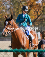 Equestrian photos by Pete's Photography of the 2024 Rockton World's Fair Equestrian Hunter Jumper series held in Rockton, Ontario, Canada.