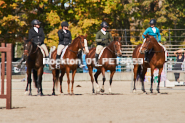 Equestrian photos by Pete's Photography of the 2024 Rockton World's Fair Equestrian Hunter Jumper series held in Rockton, Ontario, Canada.