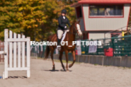 Equestrian photos by Pete's Photography of the 2024 Rockton World's Fair Equestrian Hunter Jumper series held in Rockton, Ontario, Canada.