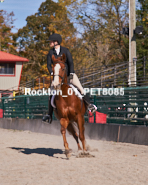 Equestrian photos by Pete's Photography of the 2024 Rockton World's Fair Equestrian Hunter Jumper series held in Rockton, Ontario, Canada.