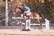 Equestrian photos by Pete's Photography of the 2024 Rockton World's Fair Equestrian Hunter Jumper series held in Rockton, Ontario, Canada.