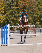 Equestrian photos by Pete's Photography of the 2024 Rockton World's Fair Equestrian Hunter Jumper series held in Rockton, Ontario, Canada.