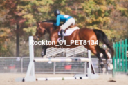 Equestrian photos by Pete's Photography of the 2024 Rockton World's Fair Equestrian Hunter Jumper series held in Rockton, Ontario, Canada.