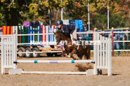 Equestrian photos by Pete's Photography of the 2024 Rockton World's Fair Equestrian Hunter Jumper series held in Rockton, Ontario, Canada.