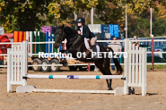 Equestrian photos by Pete's Photography of the 2024 Rockton World's Fair Equestrian Hunter Jumper series held in Rockton, Ontario, Canada.