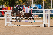 Equestrian photos by Pete's Photography of the 2024 Rockton World's Fair Equestrian Hunter Jumper series held in Rockton, Ontario, Canada.