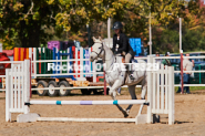 Equestrian photos by Pete's Photography of the 2024 Rockton World's Fair Equestrian Hunter Jumper series held in Rockton, Ontario, Canada.