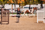 Equestrian photos by Pete's Photography of the 2024 Rockton World's Fair Equestrian Hunter Jumper series held in Rockton, Ontario, Canada.