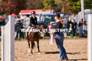 Equestrian photos by Pete's Photography of the 2024 Rockton World's Fair Equestrian Hunter Jumper series held in Rockton, Ontario, Canada.