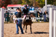 Equestrian photos by Pete's Photography of the 2024 Rockton World's Fair Equestrian Hunter Jumper series held in Rockton, Ontario, Canada.