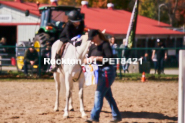 Equestrian photos by Pete's Photography of the 2024 Rockton World's Fair Equestrian Hunter Jumper series held in Rockton, Ontario, Canada.